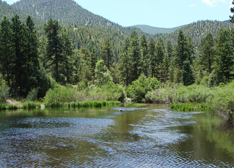 Cimarron Canyon State Park, New Mexico, USA